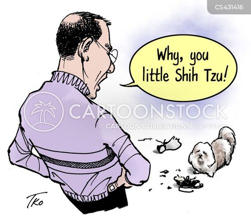 Shih Tzu Cartoons and Comics - funny pictures from CartoonStock