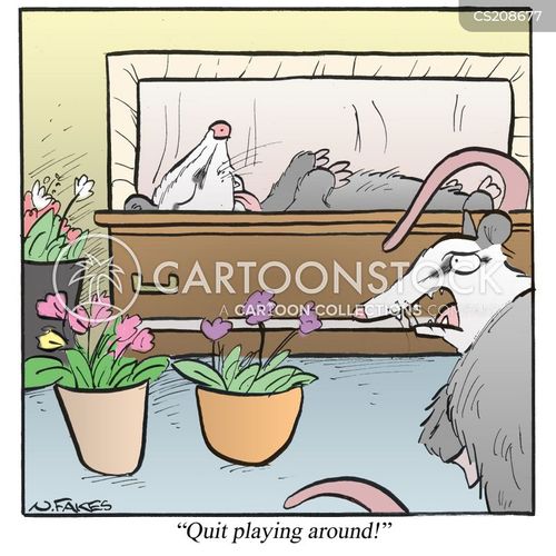 Opossum Cartoons and Comics - funny pictures from CartoonStock