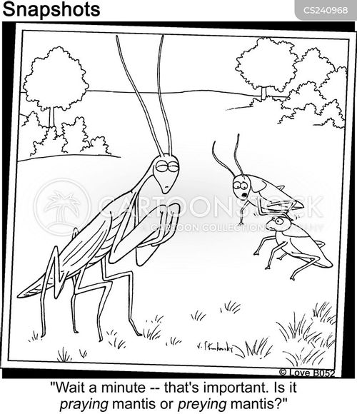 Preying Mantis cartoons, Preying Mantis cartoon, funny, Preying Mantis picture, Preying Mantis pictures, Preying Mantis image, Preying Mantis images, Preying Mantis illustration, Preying Mantis illustrations