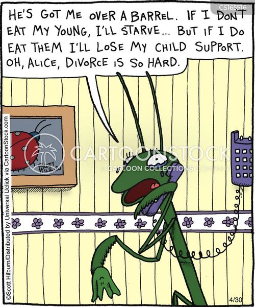Funny Child Support Sayings Child support cartoon 1 of 29