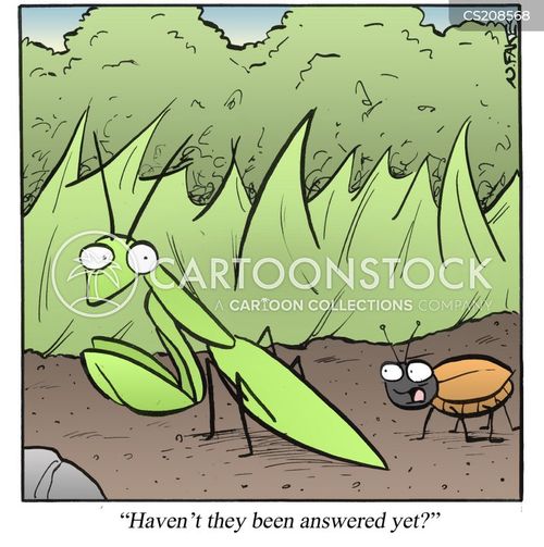 Mantises Cartoons and Comics - funny pictures from CartoonStock