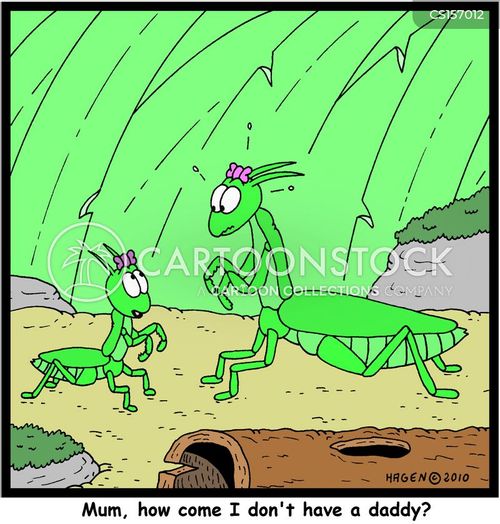 Preying Mantis cartoons, Preying Mantis cartoon, funny, Preying Mantis picture, Preying Mantis pictures, Preying Mantis image, Preying Mantis images, Preying Mantis illustration, Preying Mantis illustrations