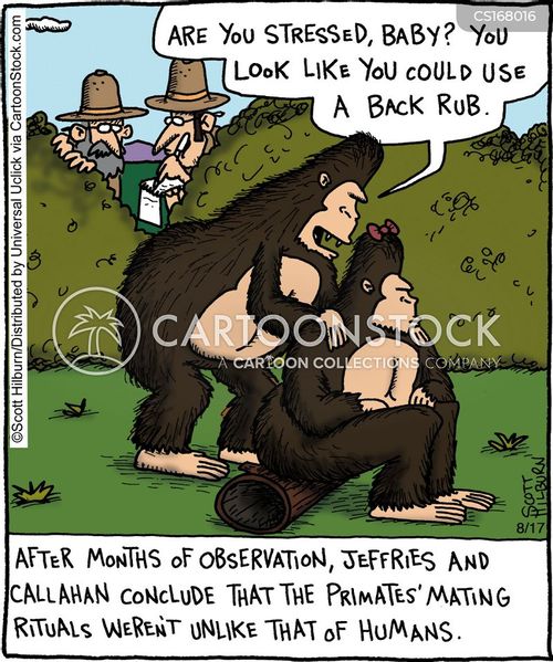 After months of observations,