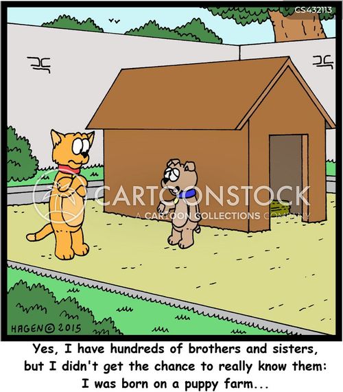 Breeding Farms Cartoons And Comics Funny Pictures From
