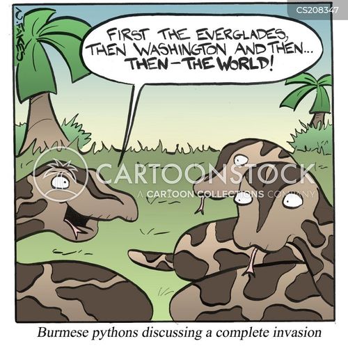 Everglades Cartoons and Comics funny pictures from CartoonStock