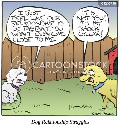Shock Collar Cartoons and Comics funny pictures from CartoonStock