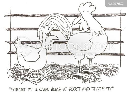 Black jack chicken coop