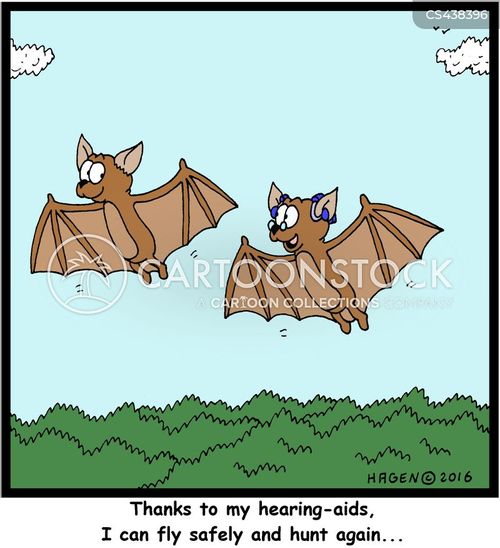 Fruit Bat Cartoons Humor From Jantoo Cartoons