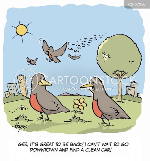 animals-spring-migrate-migrating-coming_home-holidays-rhan1361_low.jpg