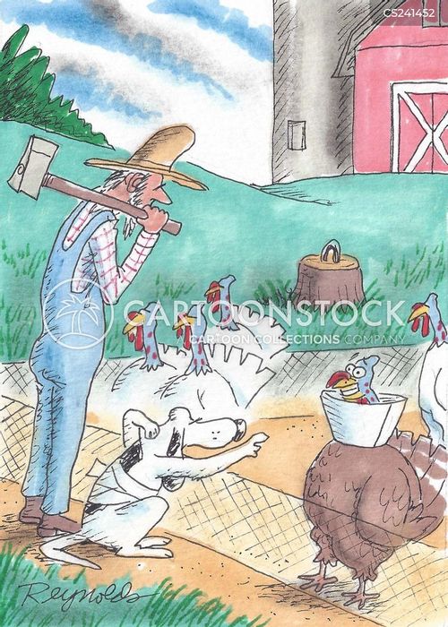 animals-thanksgiving-dog_cone-dog_collar-turkey-turkey_farm-dren665_low.jpg