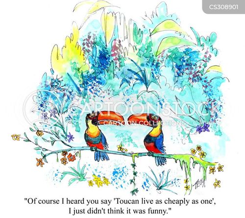 Toucans Cartoons and Comics - funny pictures from CartoonStock