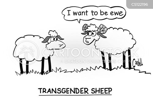 Gender Reassignment Surgery Cartoons And Comics Funny Pictures From Cartoonstock