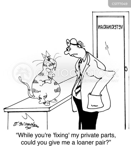 Neuter Cartoons and Comics funny pictures from CartoonStock