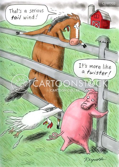 Strong Wind Cartoons And Comics Wind Cartoon Wind Funny Pictures