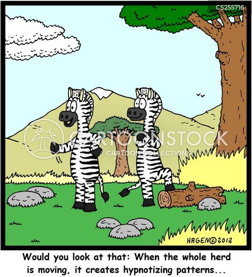 animals-zebra-stripe-pattern-herd-hypnotist-cgan2565_low.jpg