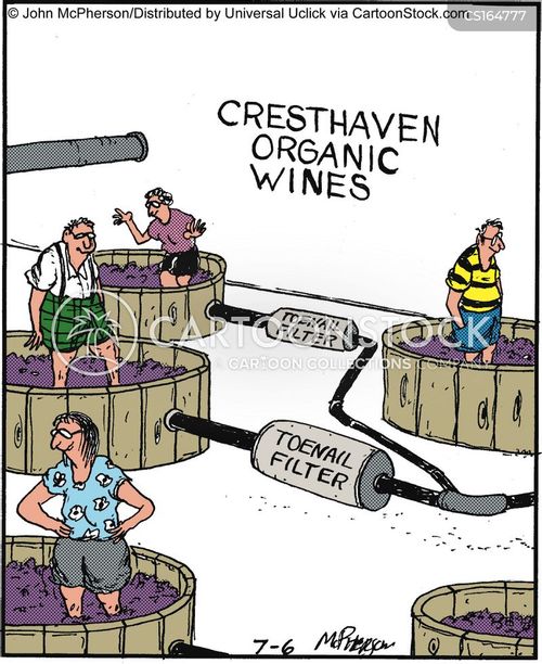 Wineries Cartoons and Comics funny pictures from CartoonStock