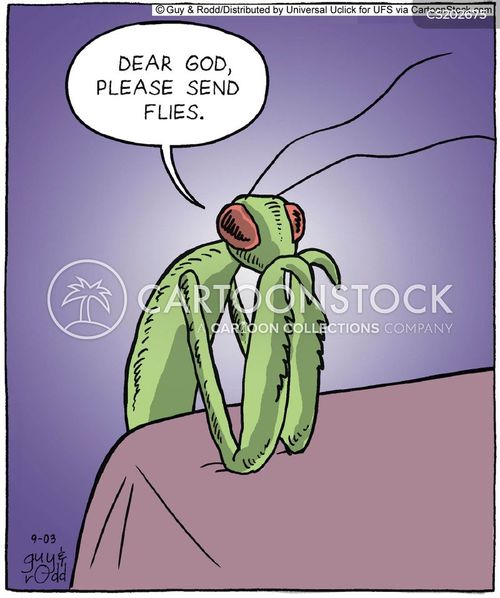 Praying Mantises cartoons, Praying Mantises cartoon, funny, Praying Mantises picture, Praying Mantises pictures, Praying Mantises image, Praying Mantises images, Praying Mantises illustration, Praying Mantises illustrations