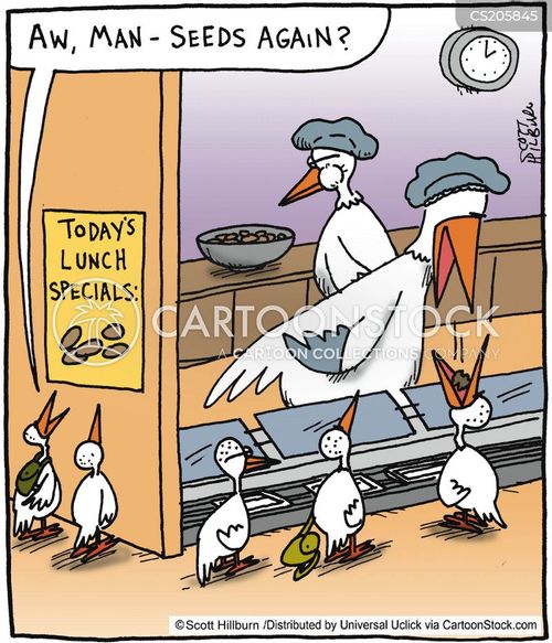 Satire essay on cafeteria food image