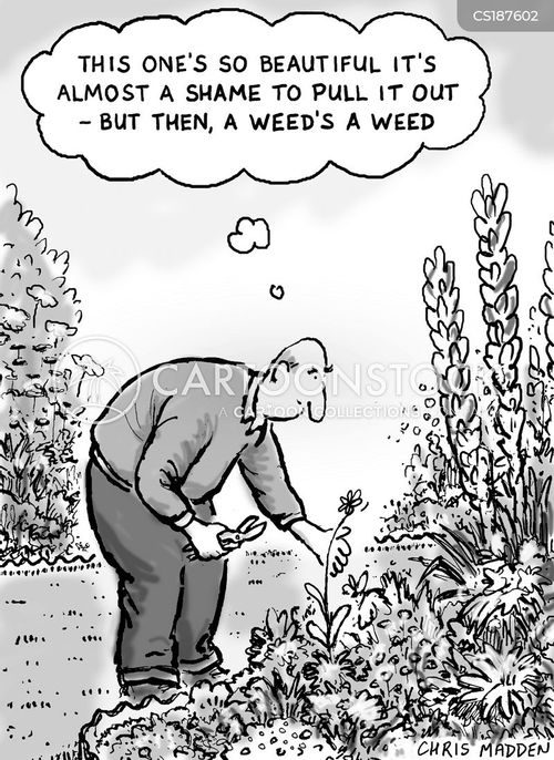 Seedling Cartoons and Comics funny pictures from CartoonStock