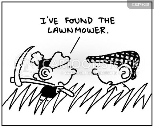 gardening-grass-scythe-lawnmower-lawn_mower-lawn_mower-mfln6260_low.jpg