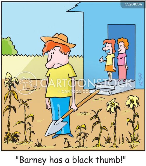 Vegetable Patch Cartoons and Comics funny pictures from CartoonStock