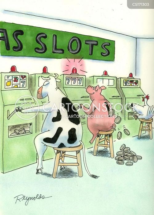 Pig gambling