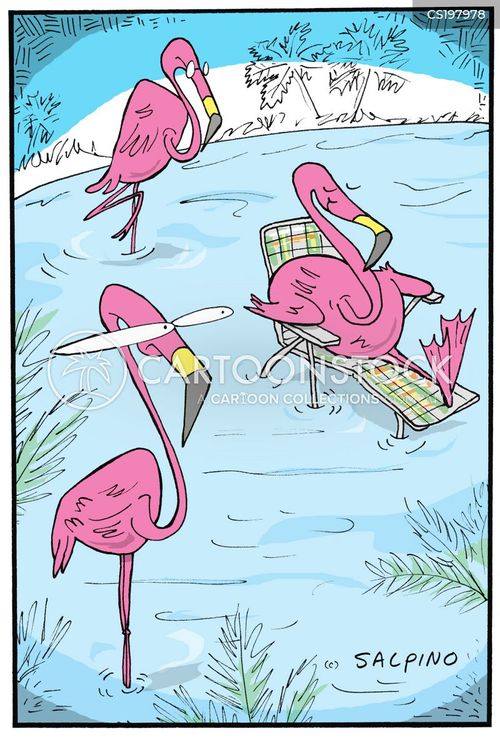 lady walking a flamingo cartoon