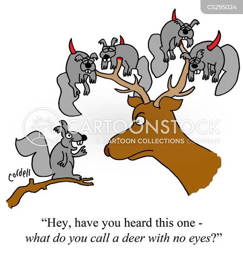 Grey Squirrel Cartoons and Comics funny pictures from CartoonStock