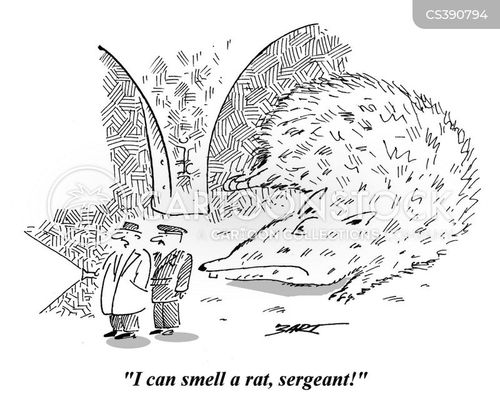 Smelling A Rat Cartoons And Comics - Funny Pictures From CartoonStock