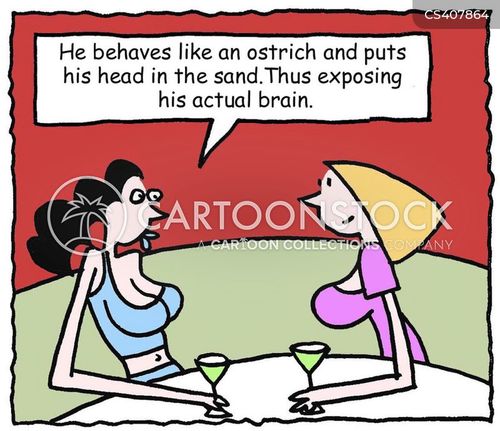 marriage-relationships-ostrich-head_in_the_sand-avoidance_tactics-avoidance_strategies-problem-mfln7557_low.jpg