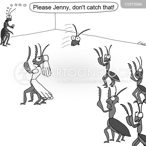 Praying Mantises cartoons, Praying Mantises cartoon, funny, Praying Mantises picture, Praying Mantises pictures, Praying Mantises image, Praying Mantises images, Praying Mantises illustration, Praying Mantises illustrations