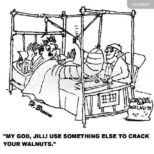 Walnut Cartoons and Comics funny pictures from CartoonStock