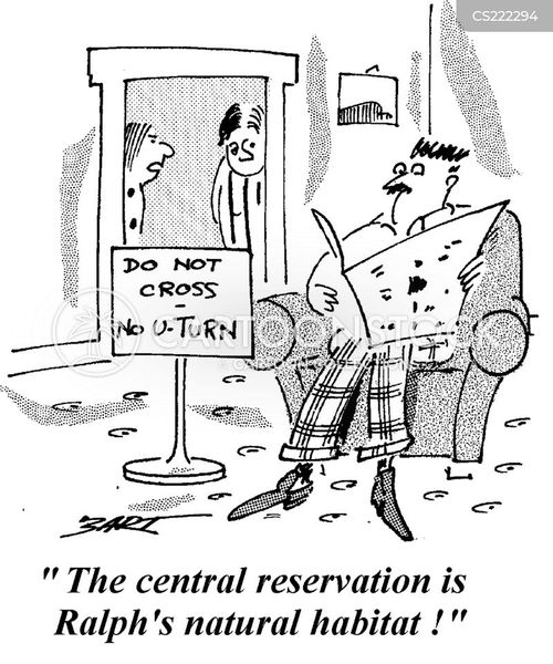 without reservations cartoon