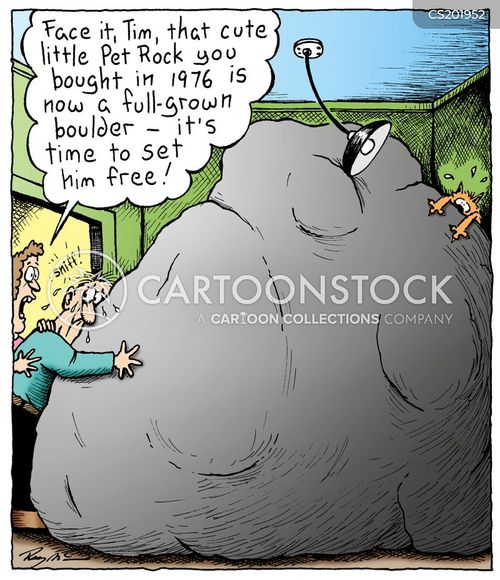 miscellaneous-fad-pet_rocks-seventies-1970s-the_70s-rmcn127_low.jpg