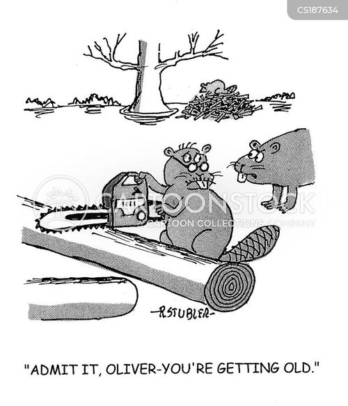 old-age-retirement-chainsaw-beaver-dam-getting_old-age-rsun606_low.jpg