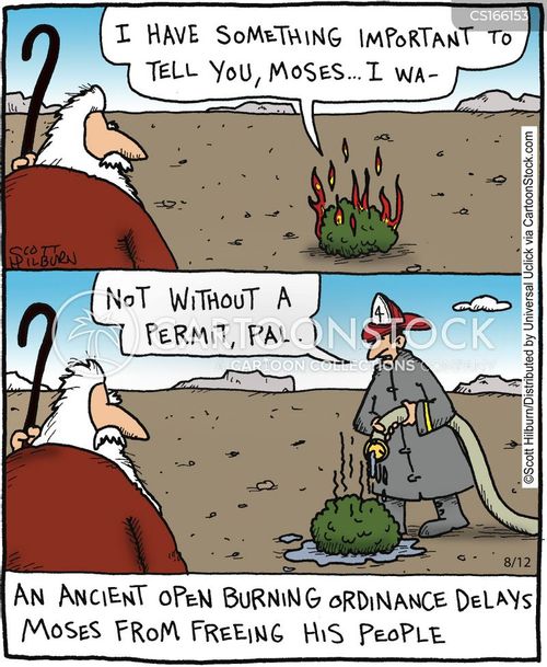 Forest Fires Cartoons and Comics funny pictures from CartoonStock