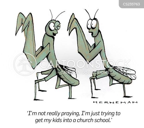 Preying Mantis cartoons, Preying Mantis cartoon, funny, Preying Mantis picture, Preying Mantis pictures, Preying Mantis image, Preying Mantis images, Preying Mantis illustration, Preying Mantis illustrations