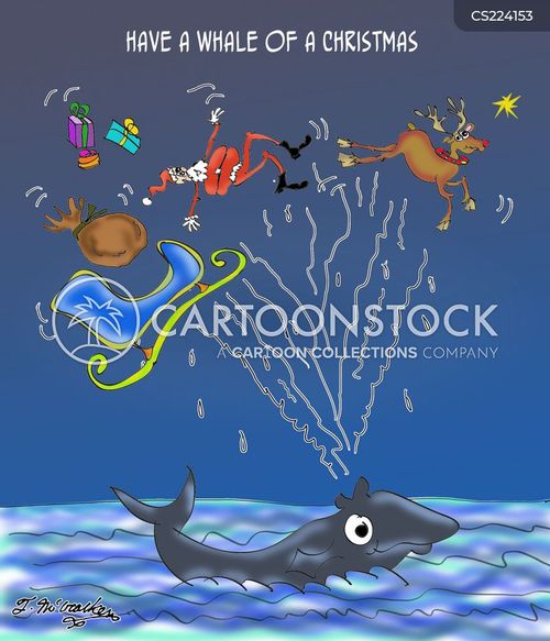 marine mammal cartoons and comics funny pictures from christmas vacation santa and reindeer