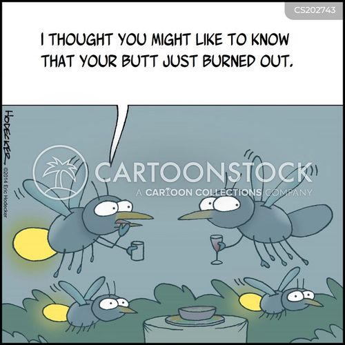 Lightning Bugs Cartoons And Comics Funny Pictures From Cartoonstock