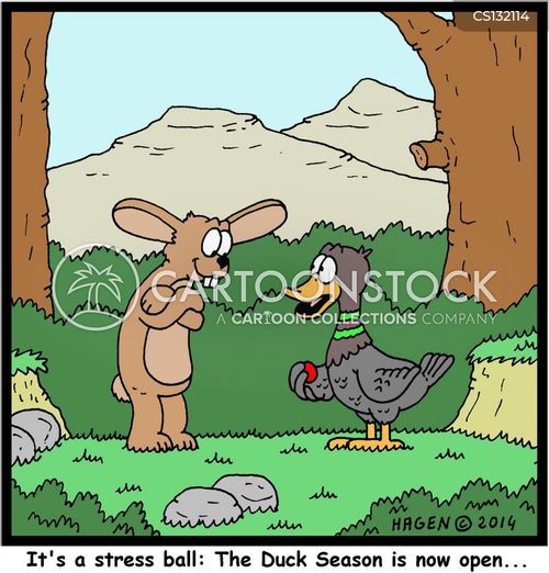 Duck shooting season licence