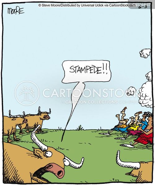 Stampeding Cartoons And Comics Funny Pictures From Cartoonstock