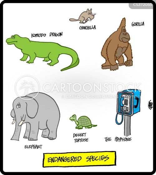 Komodo Dragon Cartoons and Comics - funny pictures from CartoonStock