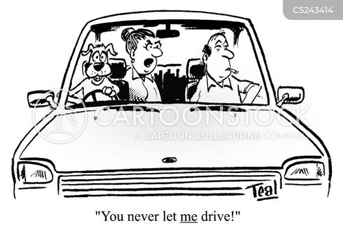 transport-dog-driving-drivers-female_drivers-women_drivers-ate0085_low.jpg