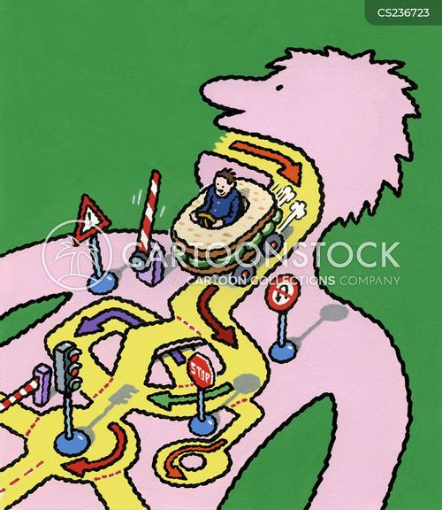 Digestive Tract Cartoons and Comics - funny pictures from CartoonStock