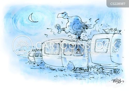 Caravan Park Cartoons and Comics - funny pictures from CartoonStock