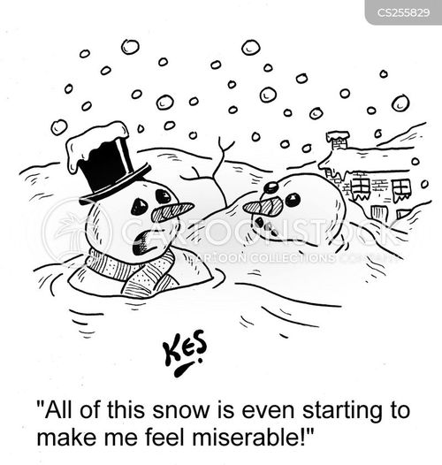 Seasonal Affective Disorder Cartoons and Comics funny pictures from